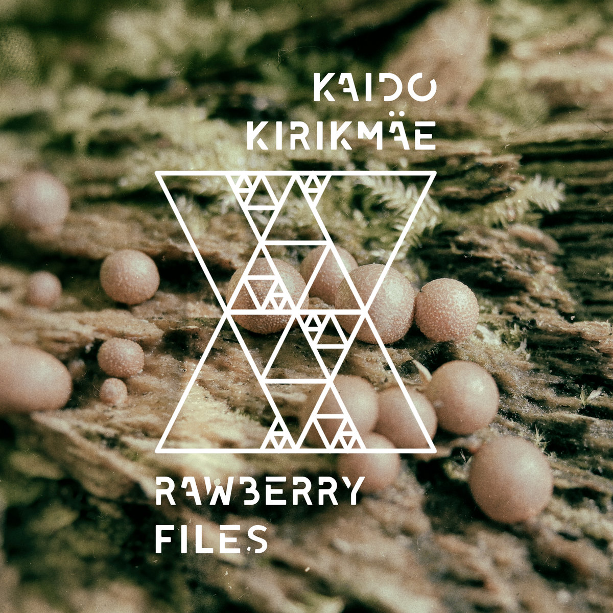 Kaido Kirikmäe - Rawberry Files